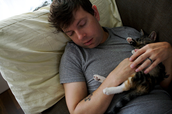 kitty snuggle